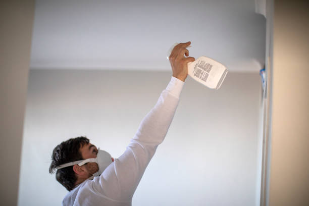 Best Mold Testing  in Osprey, FL