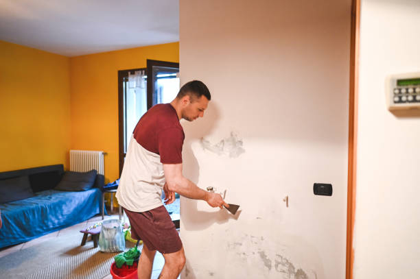 Best Residential Mold Removal  in Osprey, FL